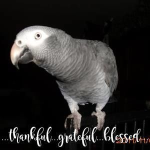 Meet your Posher, Jeanette